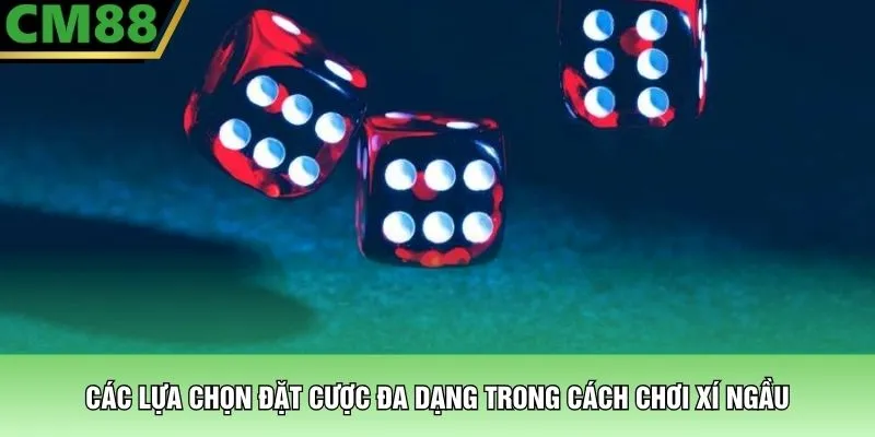 Cách Chơi Xí Ngầu – Chinh Phục Mọi Ván Cược Tại CM88 3 Các lựa chọn đặt cược đa dạng trong cách chơi xí ngầu